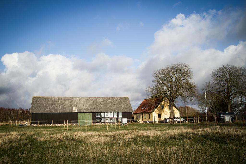 Froeken Hjorts Bed And Breakfast Höganäs Kültér fotó